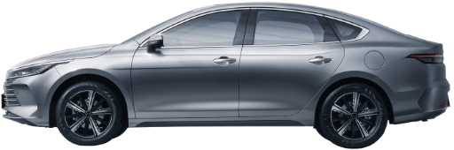 BYD-King-Prata-assinar