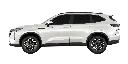 Haval H6 PHEV35 AT - Branco lateral.webp