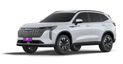 Haval H6 PHEV19
